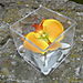 CARRE ORCHIDEE MANGUE ET GALETS 