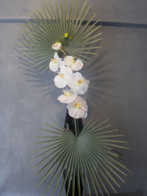 SYMETRIE FEUILLES EVENTAIL ET ORCHIDEES BLANCHES 